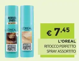 DB detersivi L'Oréal Ritocco Perfetto offerta