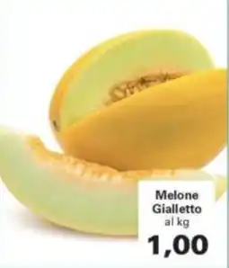 Alvama Melone Gialletto offerta