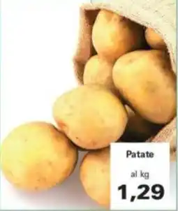 Alvama Patate offerta
