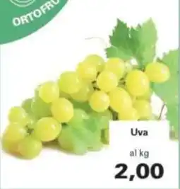 Alvama Uva offerta