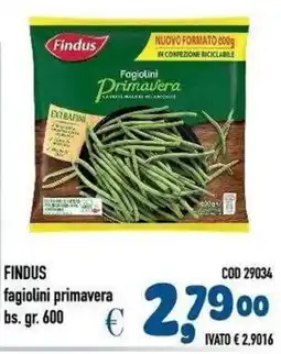 Del Prete Distribuzioni Findus fagiolini primavera offerta