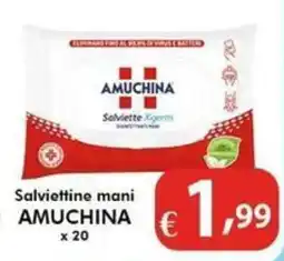 Bernava Salviettine mani AMUCHINA offerta