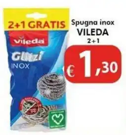 Bernava Spugna inox VILEDA offerta