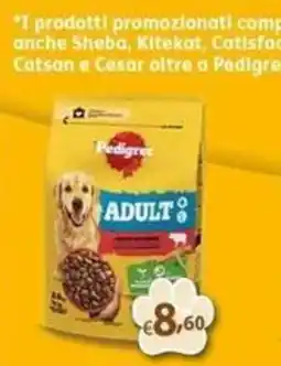 Bernava Pedigree Adult offerta