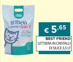 DB detersivi Best Friend Lettiera in cristalli di silice offerta
