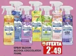 Maury's Spray Bloom Alcohol Coccoletivi offerta