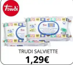 Sanitaria Gaia Trudi salviette offerta