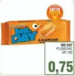 Bitar Mr. Day Plumcake offerta