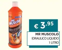 DB detersivi Mr Muscle idraulico liquido offerta