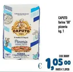 Del Prete Distribuzioni Caputo farina "00" pizzeria offerta