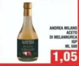Bitar Andrea Milano Aceto di Melannurca IGP offerta