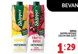Gourmet Déco Skipper Zuegg succhi vari gusti offerta