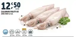 Deco Superfreddo Calamari puliti US offerta