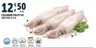 Calamari puliti US