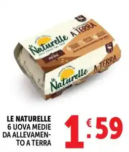 Gourmet Déco Le Naturelle uova medie offerta
