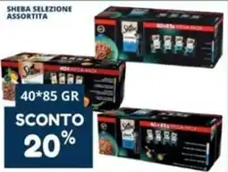 Cossuto Sheba selezione assortita offerta