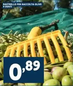 Cossuto Rastrello per raccolta olive 9 denti offerta