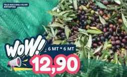 Cossuto Telo raccogli olive antispinata offerta