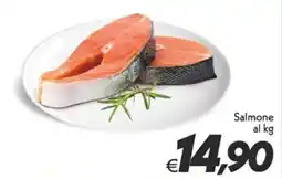Iper Super Conveniente Salmone offerta