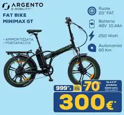 Euronics Argento Fat Bike Minimax GT offerta