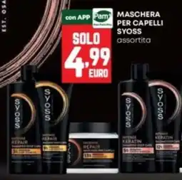 Panorama Maschera per capelli Syoss offerta