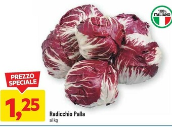 Radicchio palla