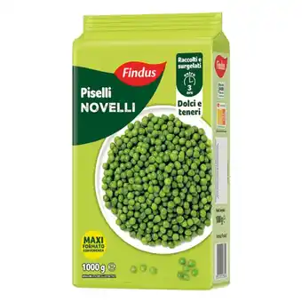 FINDUS