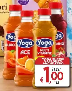 Jero Market Yoga succchi offerta