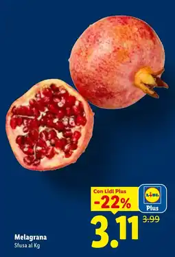 Lidl Melagrana offerta