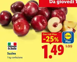 Lidl Susine offerta