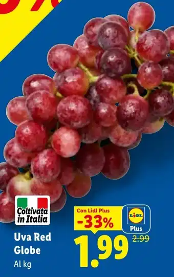 Lidl Uva Red Globe offerta
