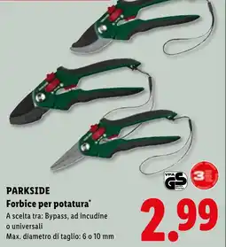 Lidl Parkside Forbice per potatura offerta