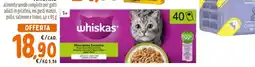 Spazio Conad Whiskas alimento umido completo per gatti adulti in gelatina offerta
