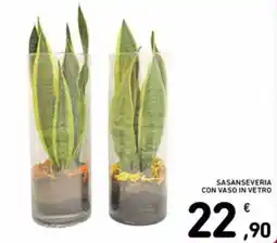 Spazio Conad Sasanseveria con vaso in vetro offerta