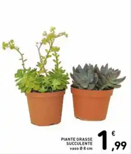 Spazio Conad Piante grasse succulente offerta