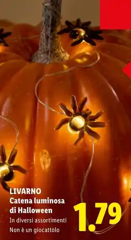 Lidl Livarno Catena luminosa di Halloween offerta