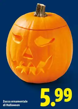 Lidl Zucca ornamentale di Halloween offerta