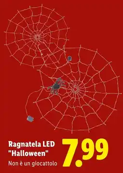 Lidl Ragnatela LED "Halloween" offerta