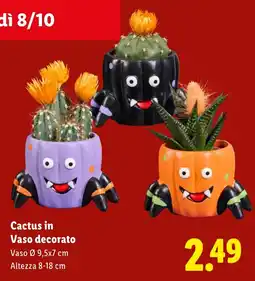 Lidl Cactus in Vaso decorato offerta