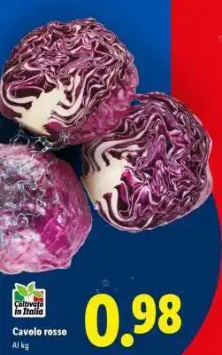 Lidl Cavolo rosso offerta