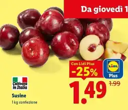 Lidl Susine offerta