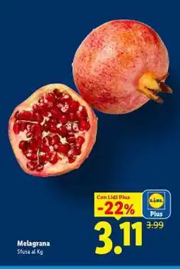 Lidl Melagrana offerta