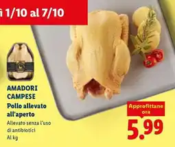 Lidl Amadori Campese Pollo allevato all'aperto offerta