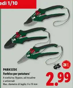 Lidl PARKSIDE Forbice per potatura offerta
