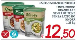 Zona Brodo Knorr offerta