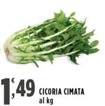 Rossotono Carrefour Cicoria cimata offerta