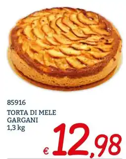 Zona Torta di mele Gargani offerta