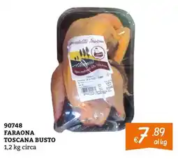 Zona Faraona Toscana Busto offerta