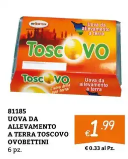 Zona Uova da allevamento a terra ToscoVO offerta