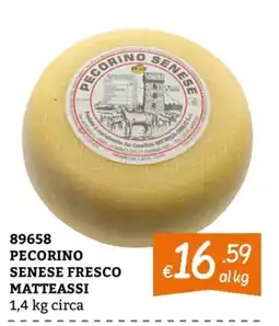 Zona Pecorino senese fresco matteassi offerta